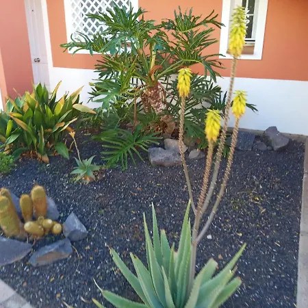Vip El Douque Costa Adeje (Tenerife)